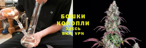 2c-b Белокуриха