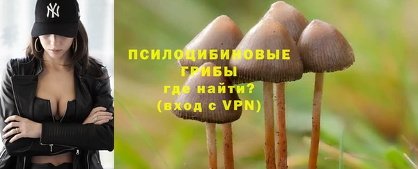 ALPHA PVP Беломорск