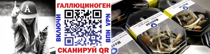 Псилоцибиновые грибы Cubensis  mega   Пыть-Ях 